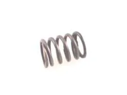 Extractor Spring